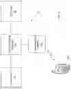 Fig. 24 - Temporally modulated multi-LED for enhanced subconscious physiological responses