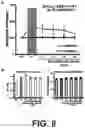 Fig. 08 - SYSTEM FOR LONG-TERM MODULATION OF PERIPHERAL NERVE ACTIVITY WITH LIGHT