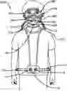Fig. 01 - Personal protective facemask system