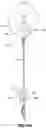 Fig. 13 - SELF-RETRACTING LANYARD WITH FALL PROTECTION HARNESS TRACKER