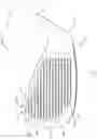 Fig. 06 - GOLF CLUB HEAD
