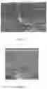 Fig. 04 - Separation membrane