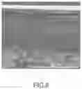 Fig. 05 - Separation membrane