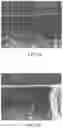 Fig. 10 - Separation membrane