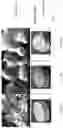 Fig. 03 - ENGINEERED COATING FOR FILTERS AND METHODS OF MANUFACTURE THEREOF