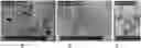 Fig. 01 - DURABLE MEMBRANES, THEIR PREPARATION AND USE