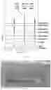 Fig. 13 - DURABLE MEMBRANES, THEIR PREPARATION AND USE
