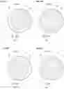 Fig. 23 - Stirring and defoaming device
