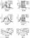 Fig. 08 - SYSTEMS, METHODS, AND DEVICES FOR PRODUCTION OF GAS-FILLED MICROBUBBLES