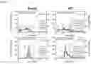 Fig. 04 - Hydrocarbon adsorption and desorption complex comprising zeolite with controlled cation ratio and preparation method therefor
