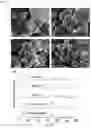 Fig. 04 - Hydrocarbon adsorption and desorption complex including gas adsorbing portion and reinforcing portion and method for preparing the same