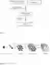 Fig. 02 - Method for obtaining metal oxides supported on mesoporous silica particles