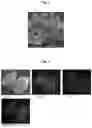 Fig. 03 - CO-DEFLAGRATION SYNTHESIS OF METALLIC, CERAMIC, AND MIXED CERAMIC-METALLIC PARTICLES