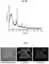 Fig. 06 - CO-DEFLAGRATION SYNTHESIS OF METALLIC, CERAMIC, AND MIXED CERAMIC-METALLIC PARTICLES