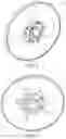 Fig. 05 - Refiner disc and hub assembly