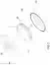 Fig. 08 - DEVICE FOR DISPENSING A VORTEX WATER JET