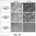Fig. 08 - METHOD FOR COATING METAL, METAL MEMBER COMPRISING COATING LAYER FORMED THEREBY AND FUEL CELL SEPARATOR