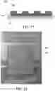 Fig. 09 - METHOD FOR COATING METAL, METAL MEMBER COMPRISING COATING LAYER FORMED THEREBY AND FUEL CELL SEPARATOR