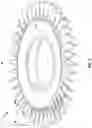 Fig. 03 - Bladed disk repair process with shield