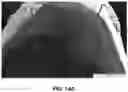 Fig. 18 - MULTI-MATERIAL, MULTI-LAYERED FEMTOSECOND LASER SURFACE PROCESSING