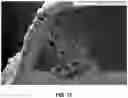 Fig. 23 - MULTI-MATERIAL, MULTI-LAYERED FEMTOSECOND LASER SURFACE PROCESSING