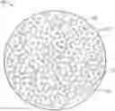 Fig. 01 - Abrasive articles including a blend of abrasive particles and method of forming and using the same