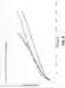 Fig. 10 - Abrasive articles including a blend of abrasive particles and method of forming and using the same