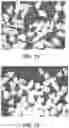 Fig. 16 - Abrasive articles including a blend of abrasive particles and method of forming and using the same