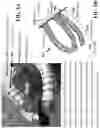 Fig. 09 - Multi-tentacular soft robotic grippers