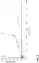 Fig. 09 - Barriers for plastic preforms and containers and preforms and containers made therewith