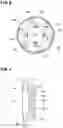 Fig. 05 - Die and method for molding reinforcing bar