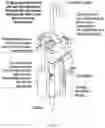 Fig. 10 - SYSTEMS AND METHODS FOR REAL-TIME OPTOELECTRONIC ASSESSMENTS OF FLUID VOLUME IN FLUID DISPENSING SYSTEMS