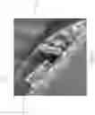 Fig. 13 - FILAMENT MADE FROM CUTTING MEMBRANE MATERIAL AND BEING THINNED TO IMPROVE PHYSICAL PROPERTIES AND MANUFACTURING METHOD THEREOF