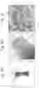 Fig. 05 - Process and device for in-air production of single droplets, compound droplets, and shape-controlled (compound) particles or fibers