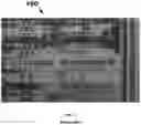 Fig. 02 - Instant ticket redundancy via multi-chromatic indicia