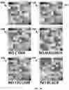 Fig. 11 - Instant ticket redundancy via multi-chromatic indicia