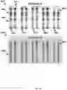 Fig. 13 - Instant ticket redundancy via multi-chromatic indicia