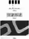 Fig. 03 - CONTROLLED SURFACE WETTING RESULTING IN IMPROVED DIGITAL PRINT EDGE ACUITY AND RESOLUTION