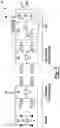 Fig. 03 - System and method for single-stage on-board charger power factor correction reactive control