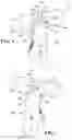 Fig. 07 - Stow to floor seat assembly