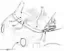 Fig. 01 - Vehicle camera mounting assembly