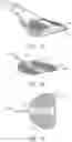 Fig. 06 - Moldable bicycle saddles, external saddle heaters, fitting procedures, and related technologies