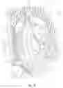 Fig. 18 - Two-wheeled vehicle with fairing coupled to down tube assembly