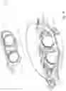 Fig. 40 - Two-wheeled vehicle with fairing coupled to down tube assembly