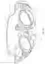 Fig. 41 - Two-wheeled vehicle with fairing coupled to down tube assembly