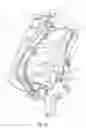 Fig. 43 - Two-wheeled vehicle with fairing coupled to down tube assembly