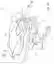 Fig. 47 - Two-wheeled vehicle with fairing coupled to down tube assembly