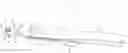 Fig. 01 - Furniture handling strap