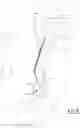 Fig. 07 - Furniture handling strap