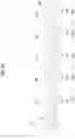 Fig. 06 - METHOD FOR PROVIDING INFORMATION AND ELECTRONIC DEVICE PERFORMING THE SAME